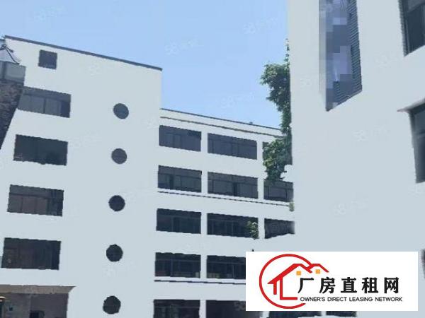  盐田港附近新出楼上800平带精装修厂房出租，200平起租
