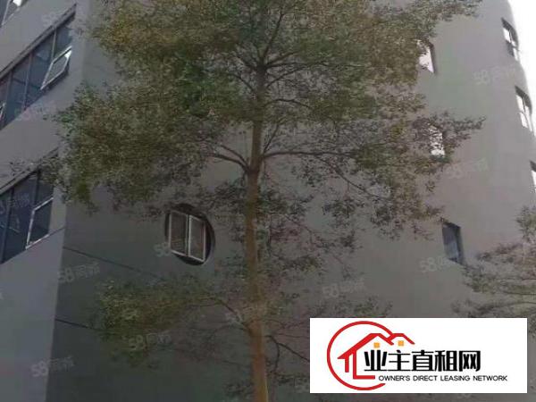  沙头角保税区附近新出楼上650平带精装修厂房出租