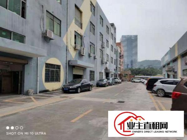  盐田港附近新出1000平层高8米单一层钢结构厂房出租，可分租