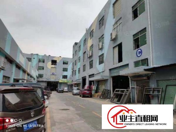  盐田港附近新出1000平层高8米单一层钢结构厂房出租，可分租