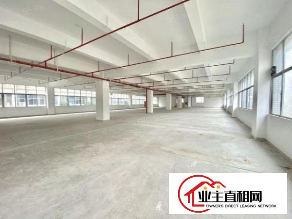  联创科技园676平开发商直租厂房园区配套成熟