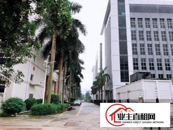  出租盐田区深盐路太平洋工业区厂房，可分租空地面积大