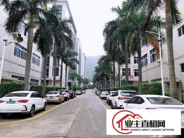  出租盐田区深盐路太平洋工业区厂房，可分租空地面积大