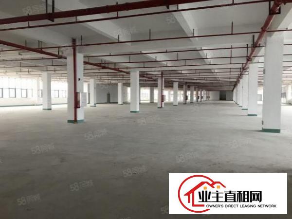  出租盐田区深盐路太平洋工业区厂房，可分租空地面积大