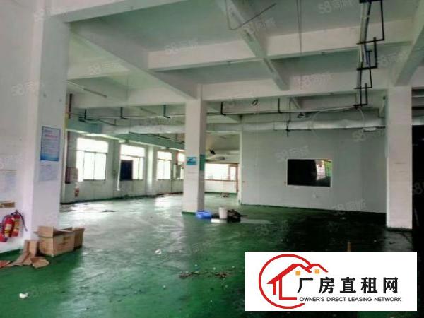  中堂镇东泊工业区独门独院厂房出租