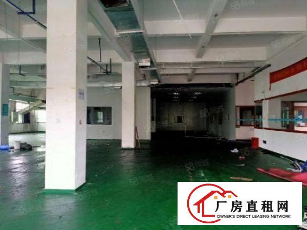  中堂镇东泊工业区独门独院厂房出租