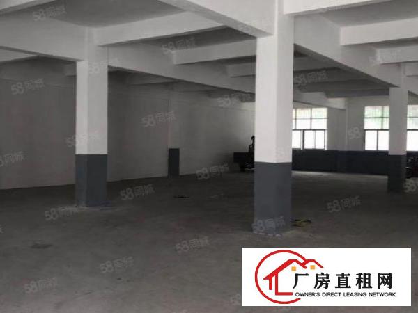  中堂镇东泊工业区独门独院厂房出租