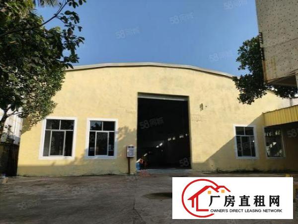  急租中堂东泊独门独院砖墙到顶六米1000平厂房