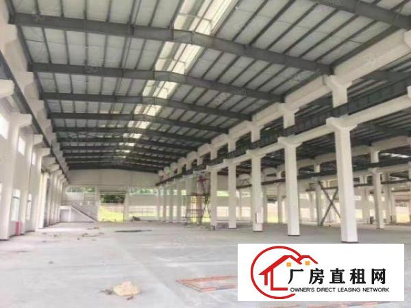  中堂原房东重工业厂房钢构单一层5000平方现成环评证