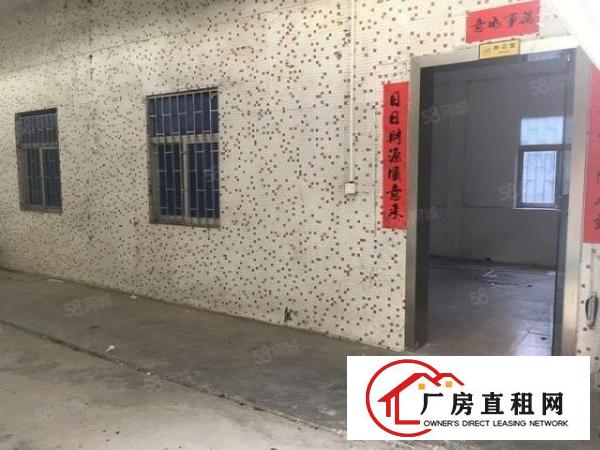  中堂新出单一层钢构厂房1000平方，价格便宜可办环评