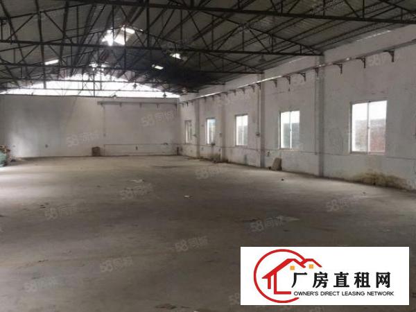  中堂新出单一层钢构厂房1000平方，价格便宜可办环评